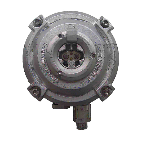 新疆海灣D-9107R防爆點型紅外火焰探測器